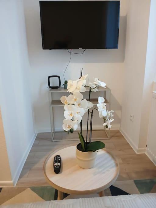 Appartement F1 Orchidee Mulhouse Exterior foto